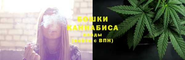 дурь Белокуриха