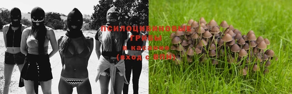 дурь Белокуриха